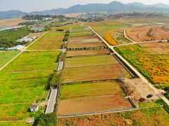 -光明小镇欢乐田园