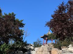 -大兴滨河森林公园