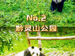 -黔灵山公园