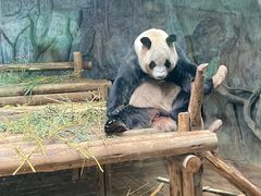 -深圳野生动物园