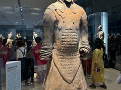 -秦始皇帝陵博物院-丽山园