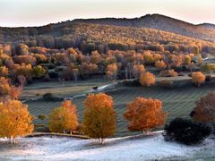 -塞罕坝国家级自然保护区