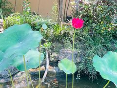 -聚缘堂·海鲜私房菜(松岭路店)