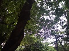 -黄埔古港