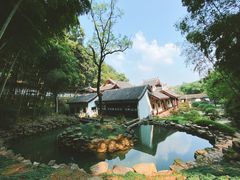 -岳麓山风景名胜区