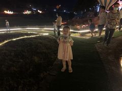 -大塘金香草谷