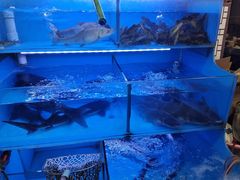 -韩妹鱼庄·泸定老字号(泸定店)