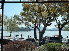 -楼外楼(西湖景区孤山路店)