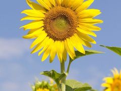 -布吉佳兆业广场