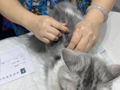 -派特宠物医院(圆融广场店)