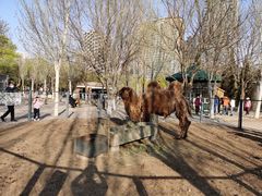 -长白岛森林公园