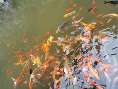 -陶祖圣境风景区