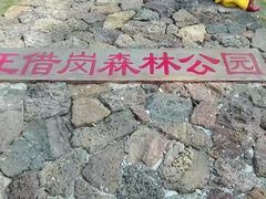 -王借岗森林公园