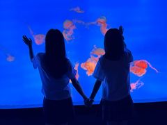 -合肥海洋世界