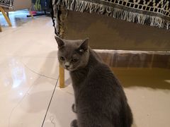 -平行世界·猫咖(首经贸店)