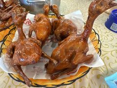 -百利鸽王(紫薇路店)