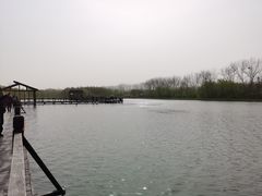 -溱湖国家湿地公园