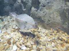 -福州罗源湾海洋世界旅游区