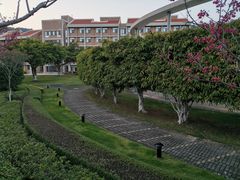 -厦门国家会计学院