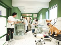 -電力宠物公司(武定路店)