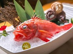 金吉鱼-龍千代·味自慢(黑龙江北路店)