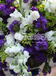 -新锦江大酒店·宴会厅·婚宴