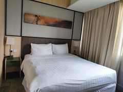 -新加坡柏薇罗切斯特酒店