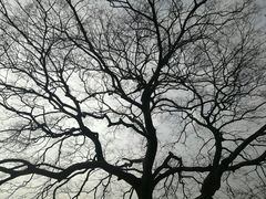 -郑州方特梦幻王国