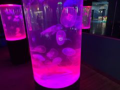 -苏州海洋馆