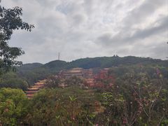 -东莞市大岭山森林公园