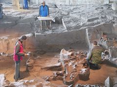 -自贡恐龙博物馆