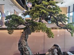 -马家斑.鲜鱼火锅(松湖万科店)