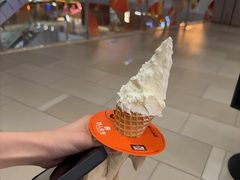 -野人先生现做冰淇淋(北京环宇荟店)
