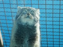-青藏高原野生动物园
