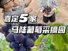 -宏泰园蔬果专业合作社