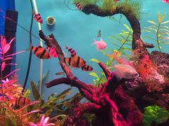 -多彩贵州城极地海洋世界