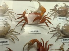 -重庆自然博物馆(新馆)