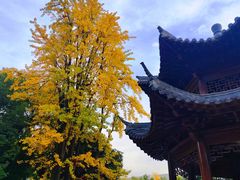 -宝通禅寺