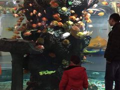 -迪卡侬(安德门店)