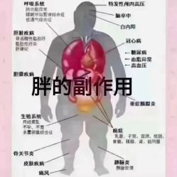 -香薇妮丝女子减肥院