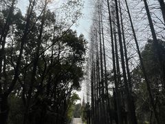 -同里国家湿地公园