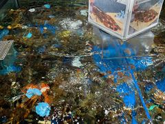 -盒马鲜生(馥邦国际店)