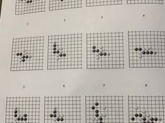 -智韵素养黎明练字(莘庄校区)