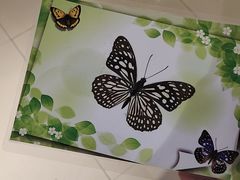 -上海昆虫博物馆