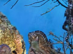 -海合安武汉极地海洋公园