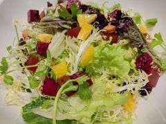 -紫光园·烤鸭·北京菜(团结湖店)