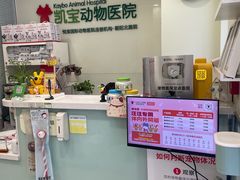 -悦宠凯宝动物医院·牙科·皮肤科(朝阳北路店)