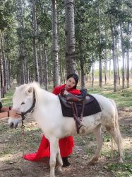 点击看大图 -美云庭古装·格格服汉服·京城旅拍(北京店)