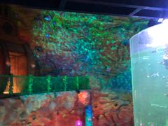 -青岛嘉年华主题乐园