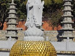 -泰山风景名胜区-普照寺